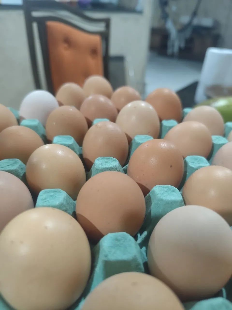 Ovos de Galinha Caipira Frescos - Qualidade Garantida - Foto 5