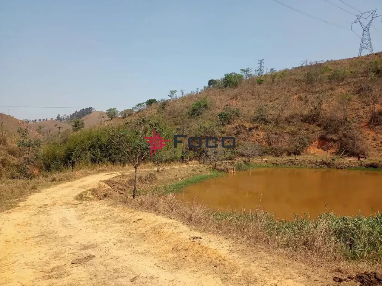 Fazenda de Eucalipto e de Gado / 337 hectares / 02 casas (principal e empregados ) Escritu