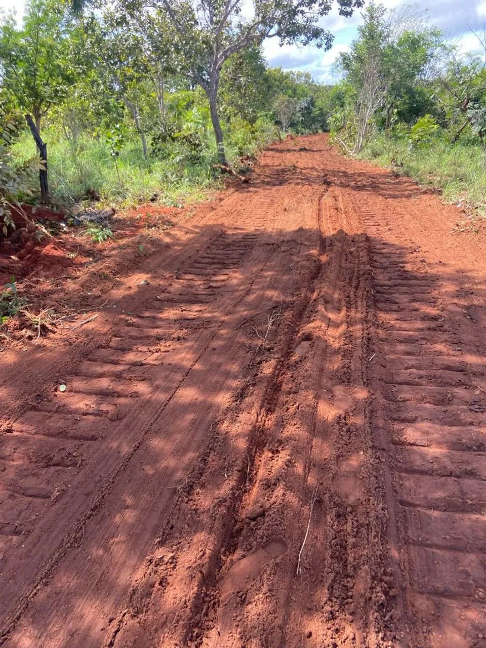 Vendo essa propriedade na beira do asfalto na cidade de Riachao _MA - Foto 5