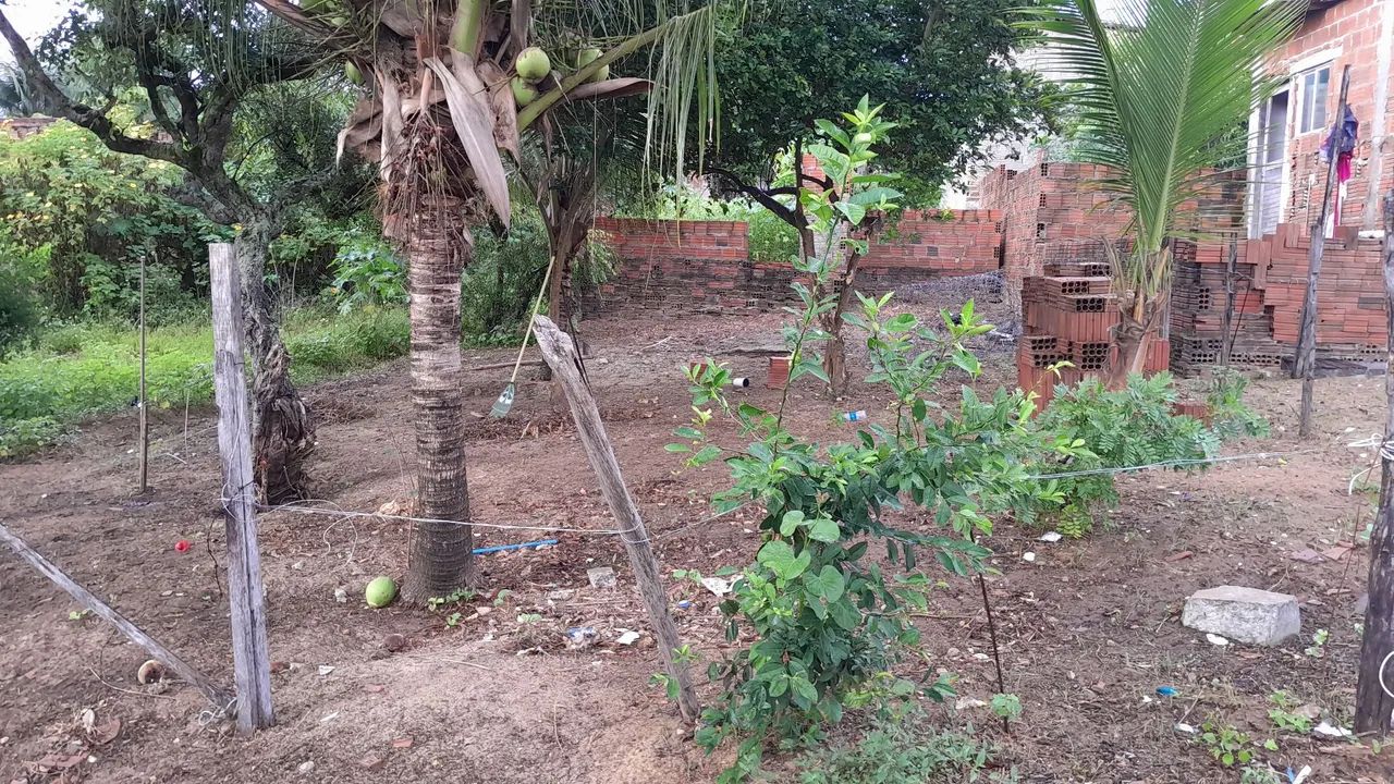 Foto - Natal - Pajuçara