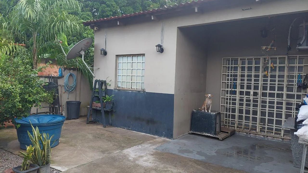 Foto - Manaus - Tancredo Neves