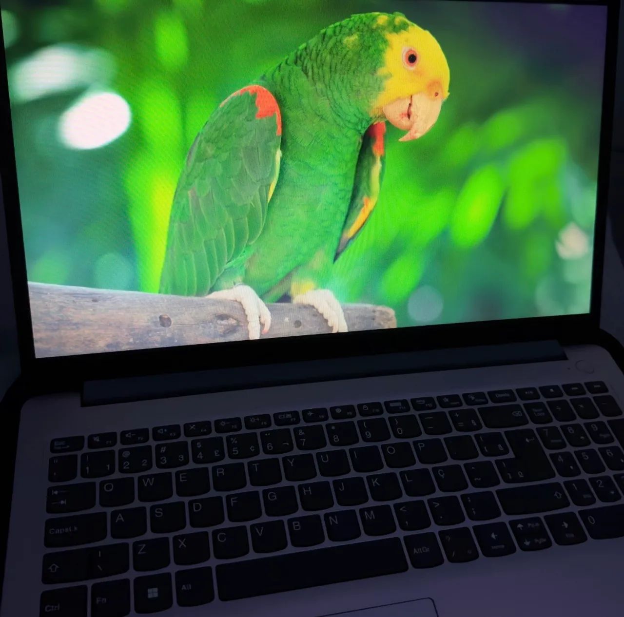 Lenovo Ideapad 1 Ryzen 3 4gb 256gb Ssd Windows 11 / 6 Meses (Usado) - Foto 3