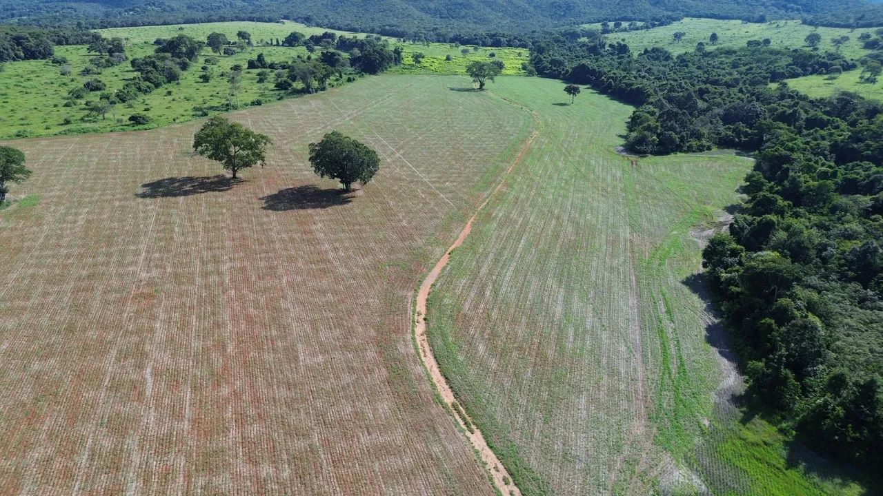 Vendo Fazenda  - Foto 4