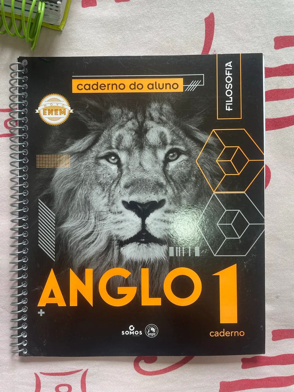 Livros anglo vestibular  - Foto 6