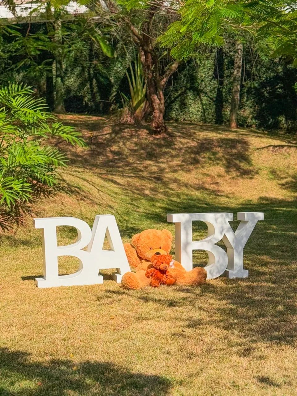 Painel Baby chá revelação 