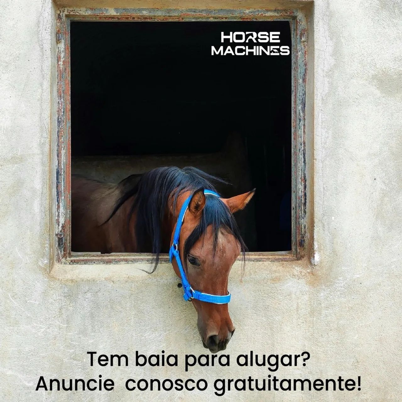 Conheça a Horse Machines.