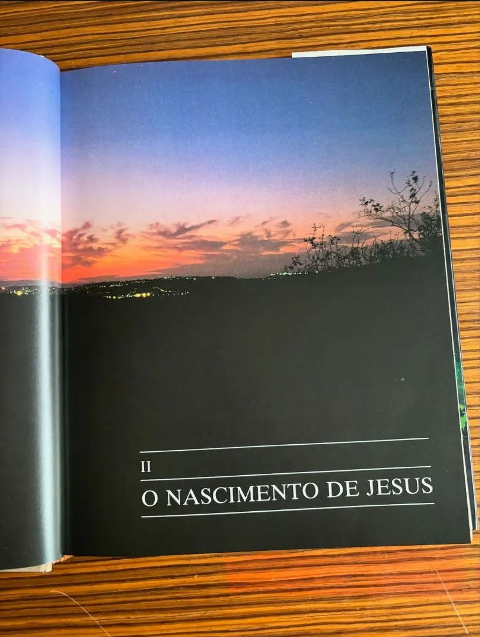 Seguindo a Jesus volumes 2 e 3 de Dante Alimenti Editora VERBO  - Foto 3