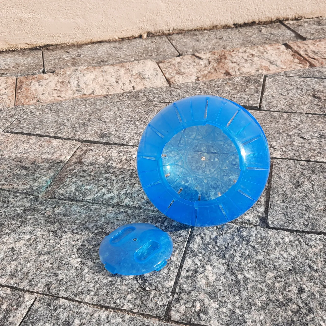 Bola de exercício para hamster