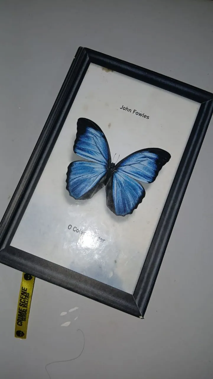 O Colecionador - John Fowles (Livros usados - quase novos pela metade do valor em lojas)