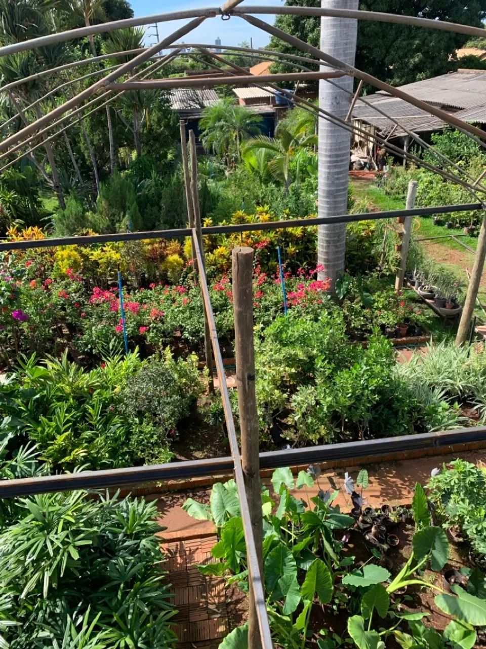 50% de desconto  - Foto 2