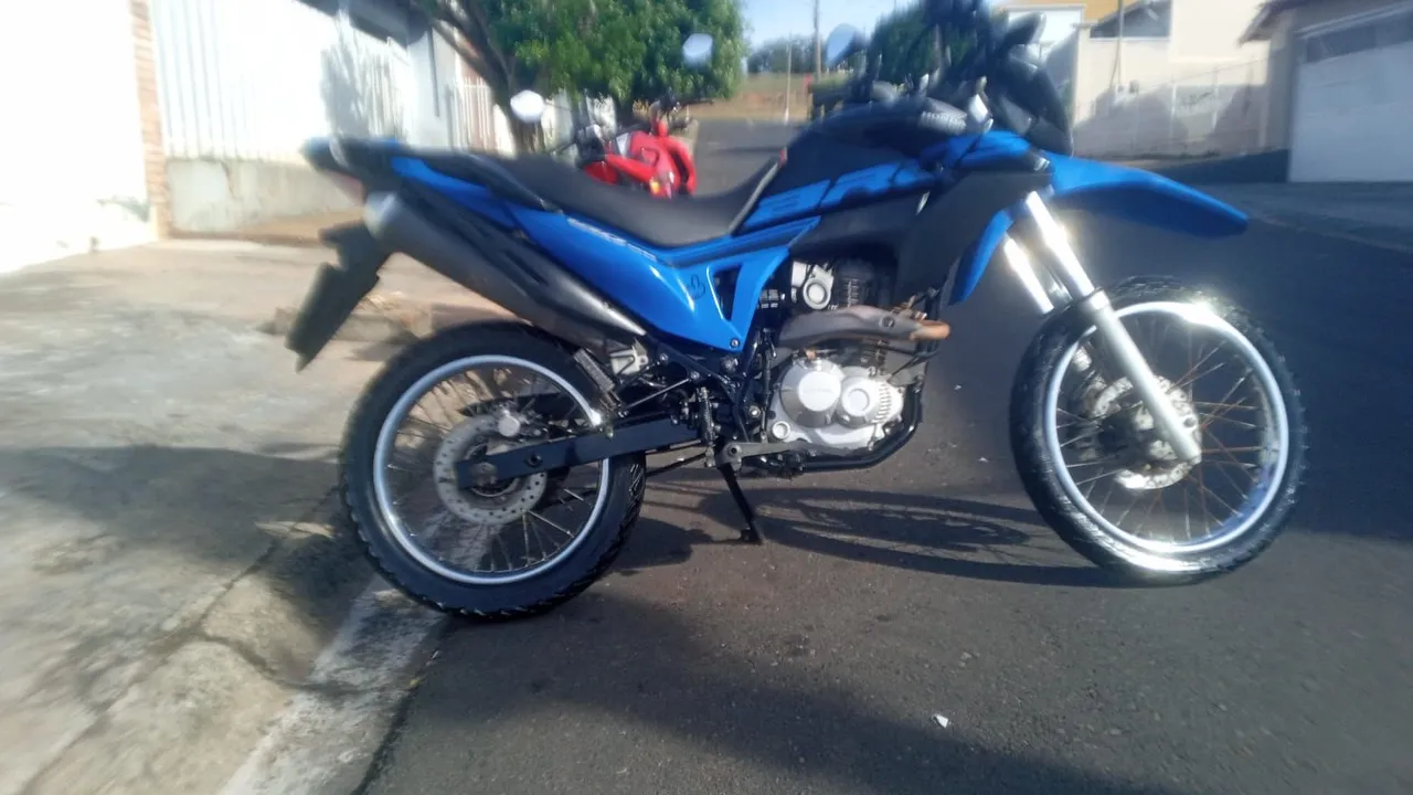 Bros ESDD FLEXONE 2018