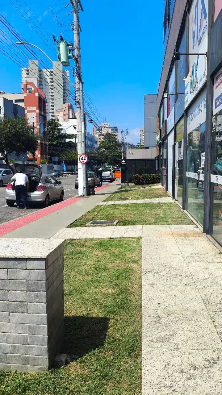 Jardinagem e manutenção  - Foto 2