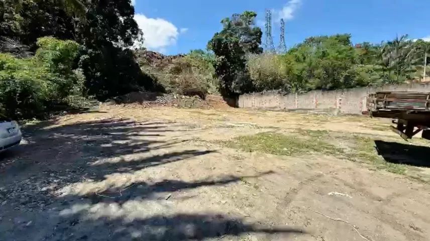 Oportunidade! Vendo Terreno com 3.464m² em Jardim Tropical - R$ 1.800.000,00 - Foto 11