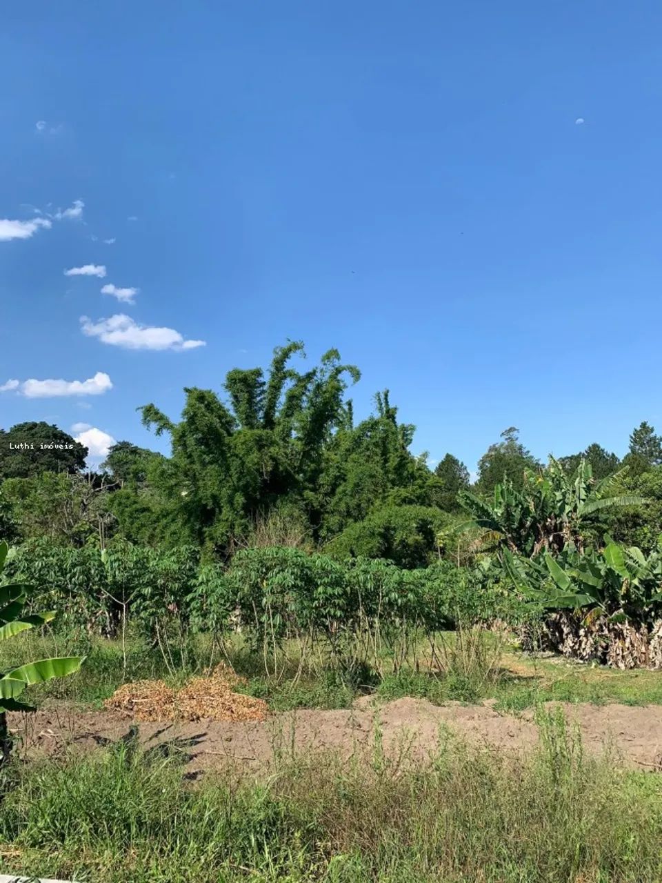 Terreno para Venda em Santa Isabel