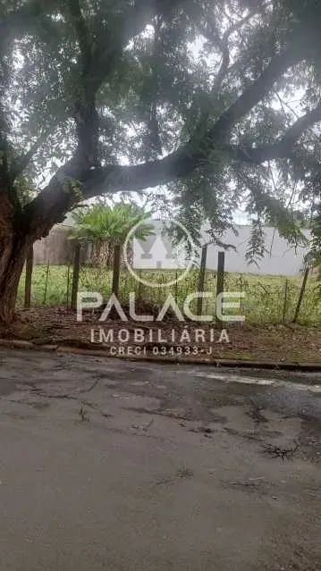 terreno comercial para alugar em nova piracicaba, piracicaba 478m²
