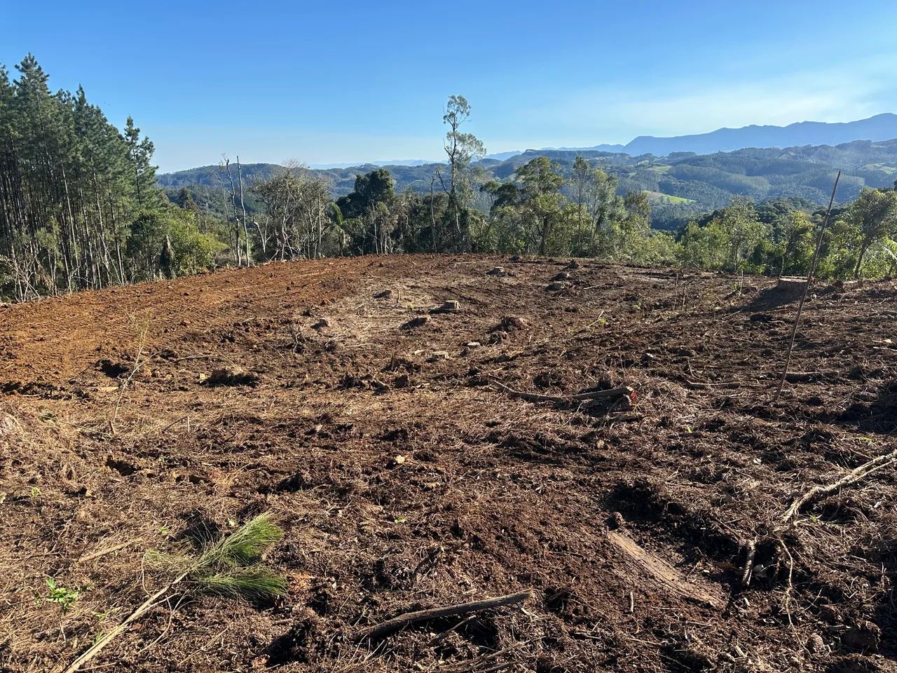 Vendo sítio em Anitapolis  - Foto 5