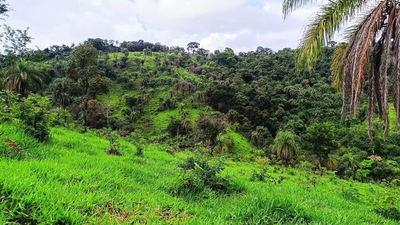Fazinhandinhas em serra azul Mateus leme  - Foto 2