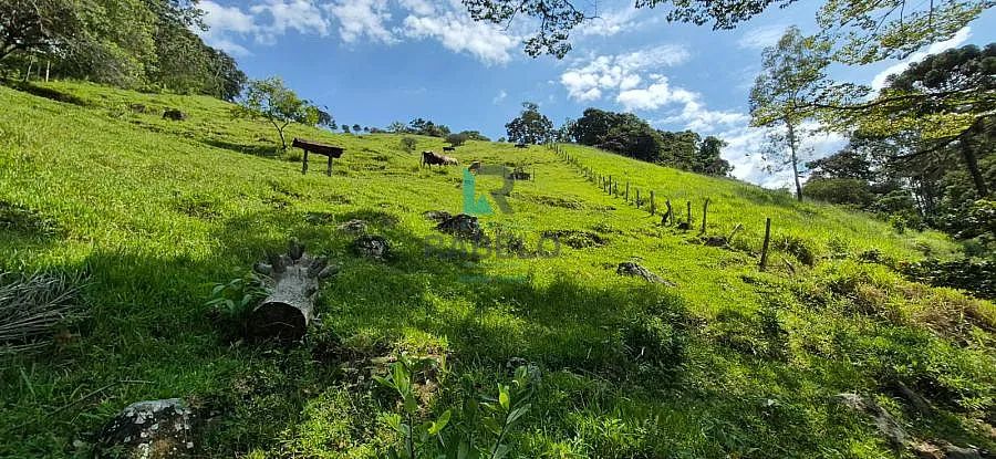 SÍTIO FORMADO À VENDA EM ITAJUBÁ-MG - Foto 2