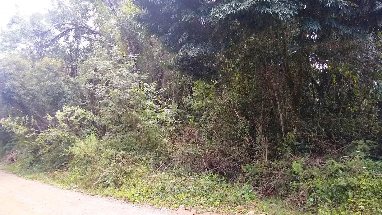 TERRENO COM POSSIBILIDADE DE EMPREENDIMENTO DE HOSPEDAGEM - Foto 2