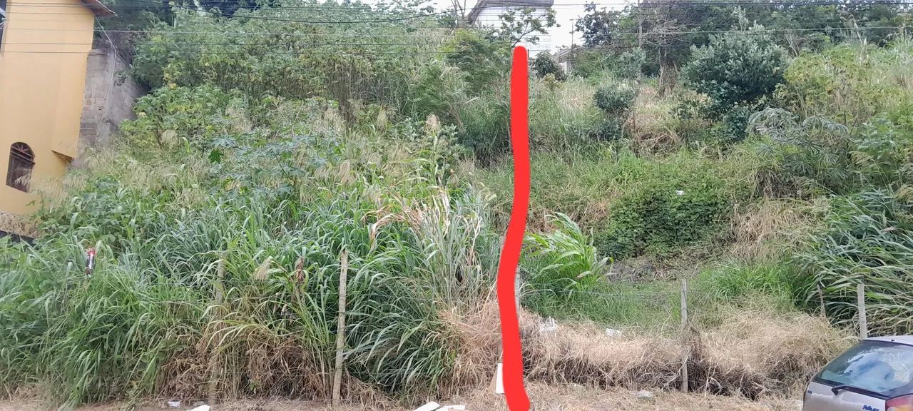 Vendo Lote 250m² bairro independência  - Foto 4