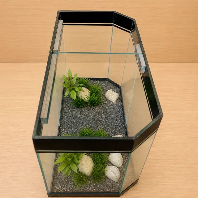 Aquário para Betta com Divisória - Foto 3