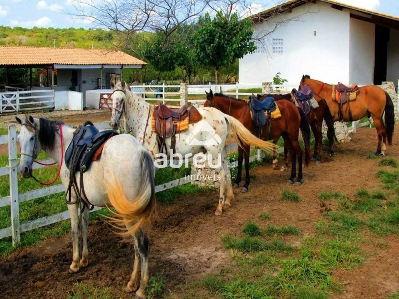 Terreno Condomínio em Macaíba - Foto 4