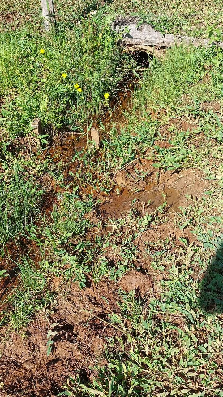 Linda Chácara com pequeno riacho no bairro dos cesarios - Foto 4