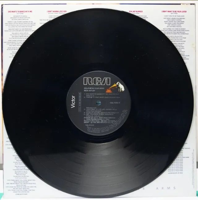 DISCO VINIL RICK ASTLEY - HOLD ME IN YOUR ARMS - Foto 4