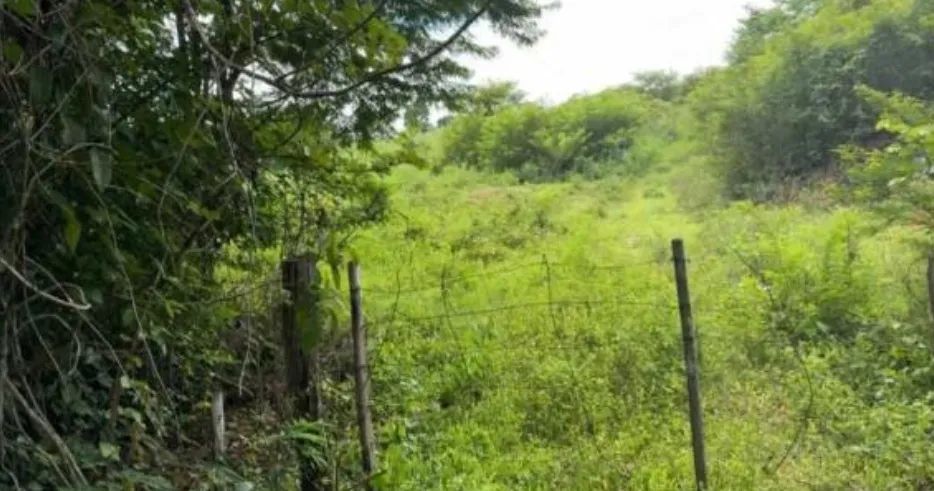 Imóvel em leilão - Foto 2