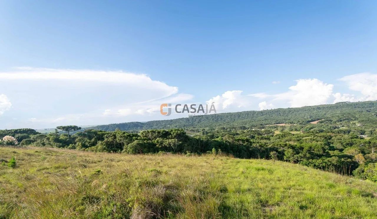 TERRENO RURAL em BALSA NOVA - PR, Balsa Nova - Foto 4
