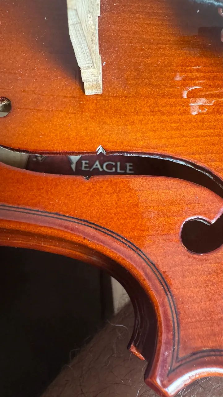 Violino Eagle Ve441 4/4 Com Case, Arco - Foto 4