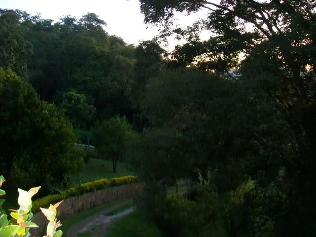 Foto - São Paulo - Jardim Oriental