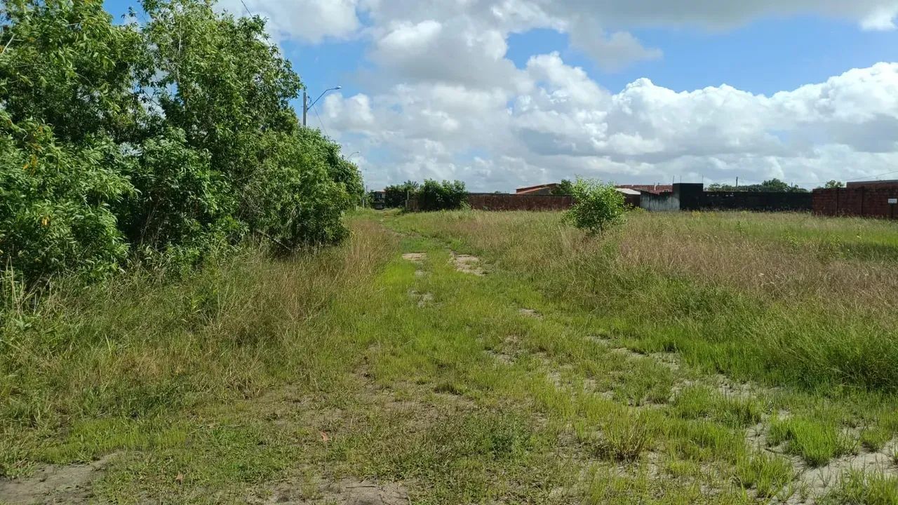 Lotes a venda litoral Sul - Foto 2