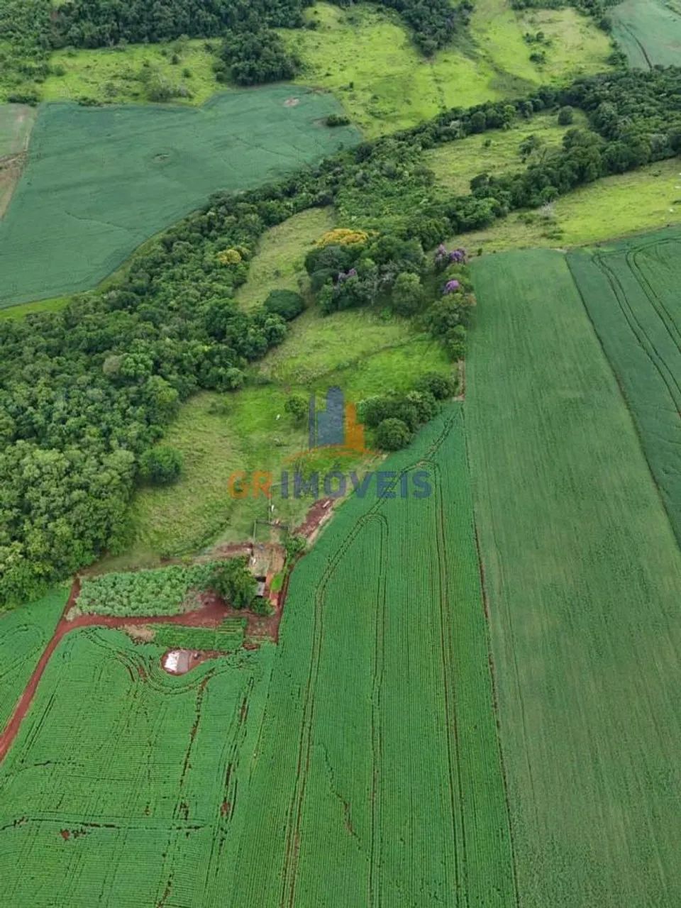 Sítio para Venda em Santa Amélia, Centro - Foto 2