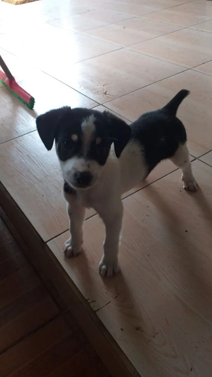 Doação  - Foto 2