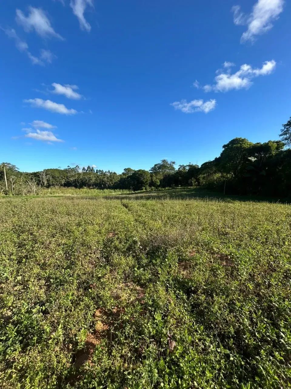 LOTES EM IGARATÁ DE 600M² A PARTIR DE R$ 70 MIL! - Foto 3