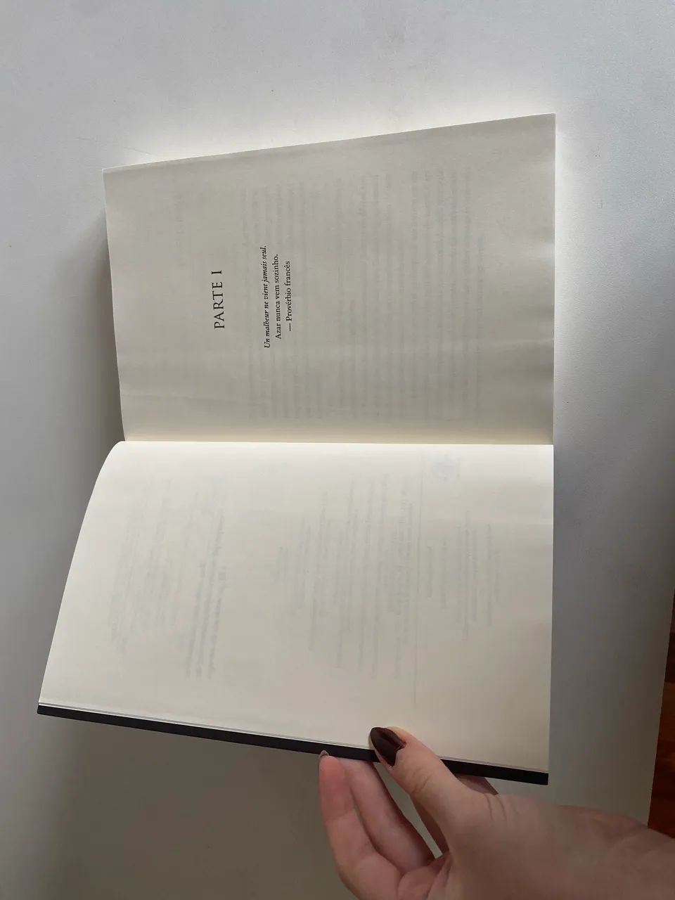 Pássaro e serpente- Shelby Livro - Foto 3