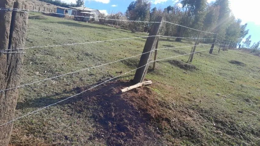 Chácara de 3.833 m^2  - Foto 4