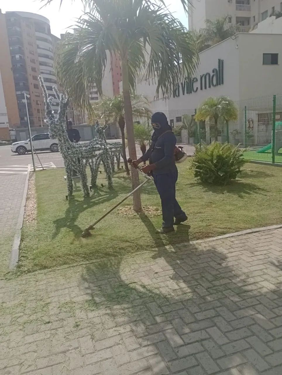 Jardineiro em geral - Foto 2