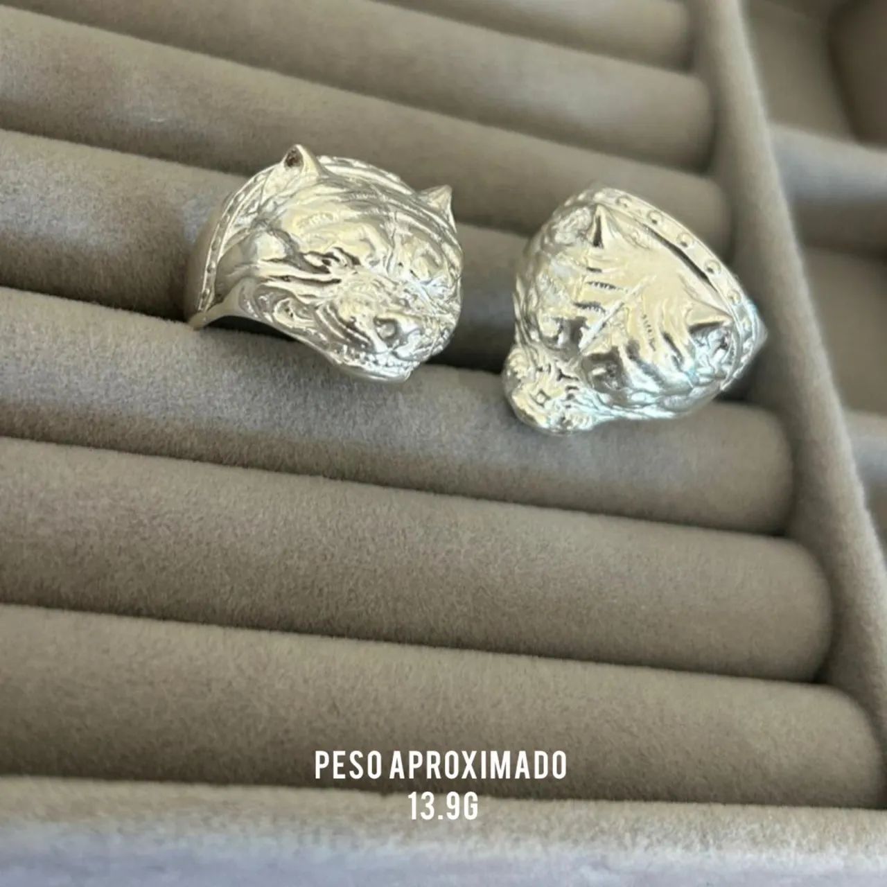 ANEL DO PIT BULL 13,9g (PRATA 925)