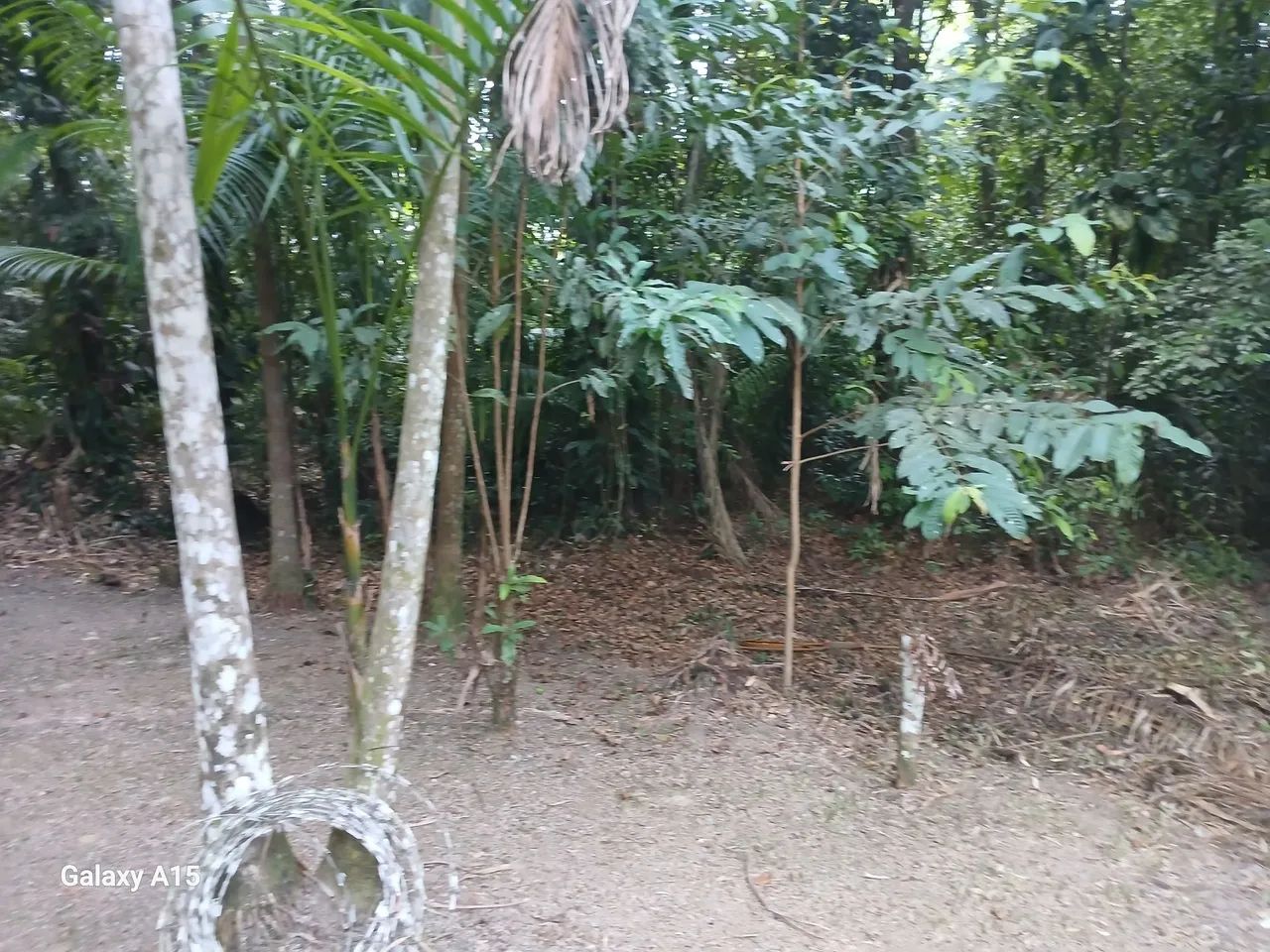 VENDO SÍTIO SANTA BÁRBARA  - Foto 2