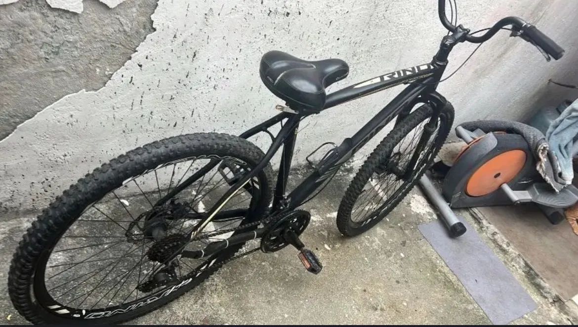 Bicicleta Rino Aro 29