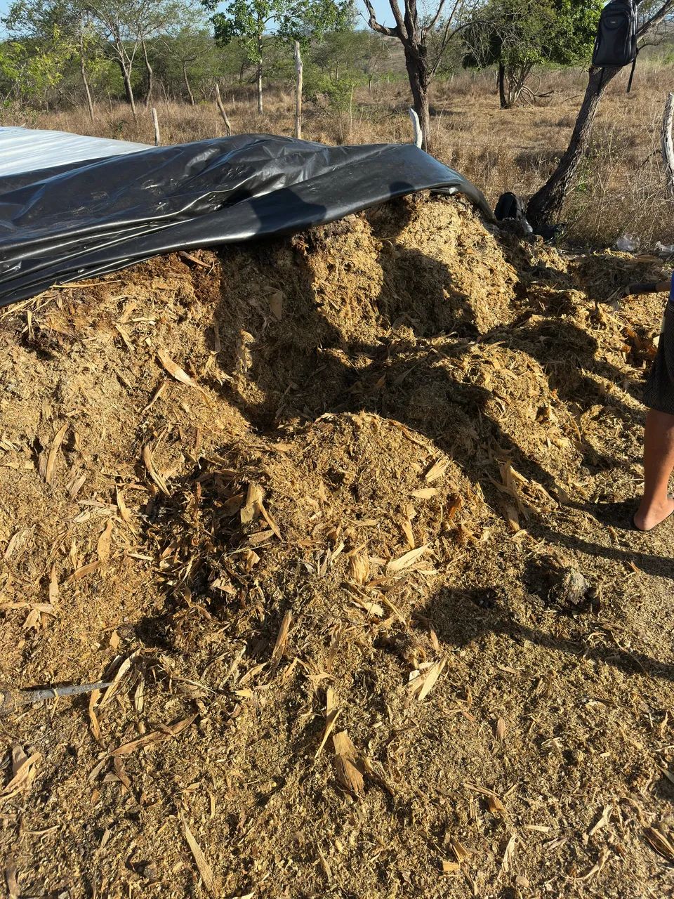 SILAGEM silo  - Foto 2