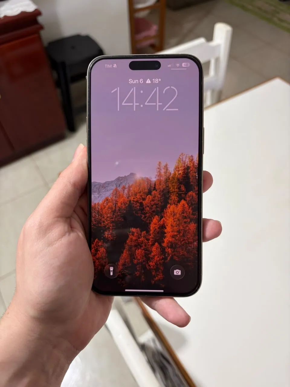 IPHONE 15 PRO MAX 256GB - Foto 5
