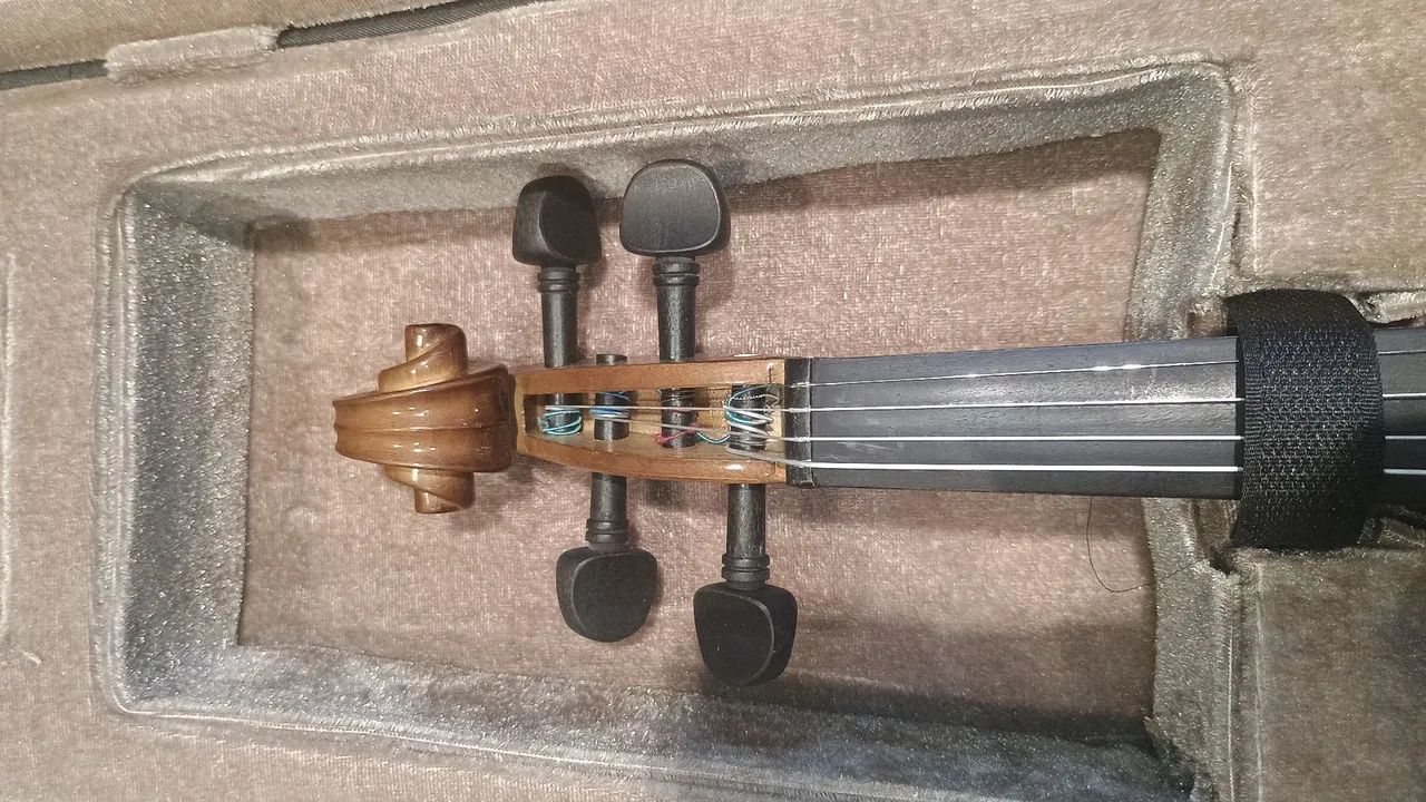 Violino dominate - Foto 2