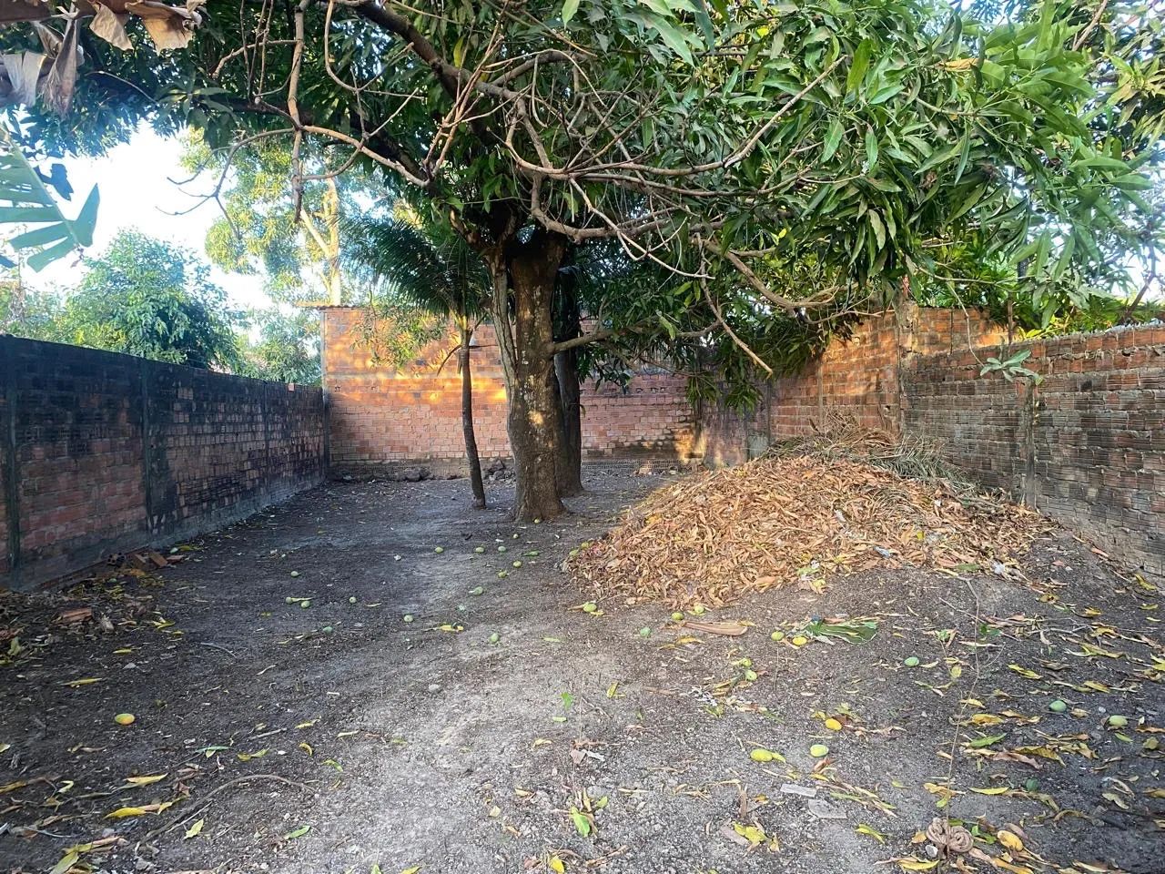 TERRENO OPORTUNIDADE  - Foto 4