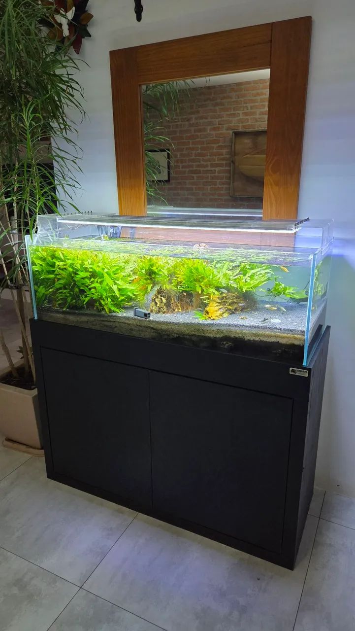 Aquario completo de 215L