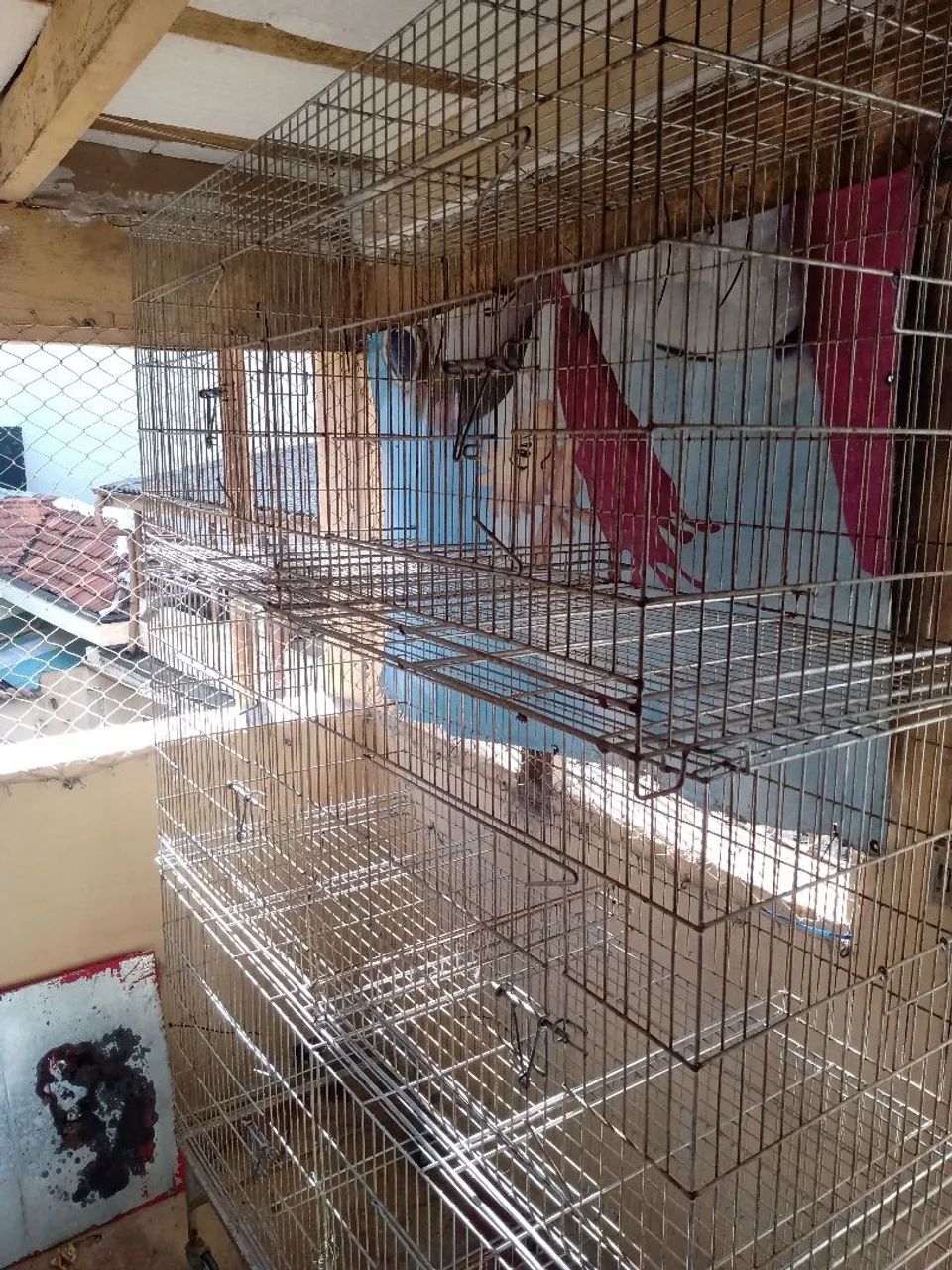 Gaiola  - Foto 4