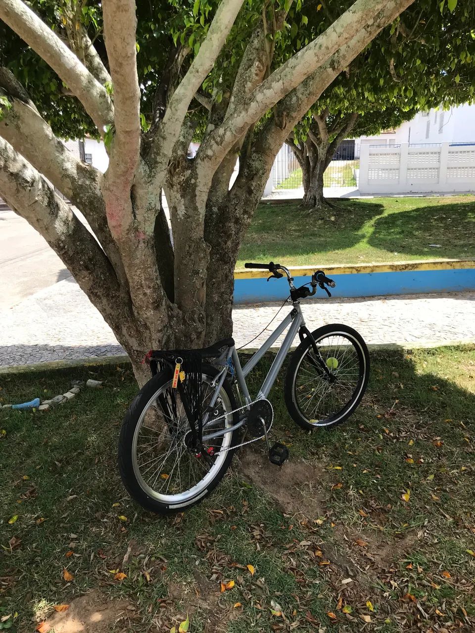 Bike / bicicleta  - Foto 2