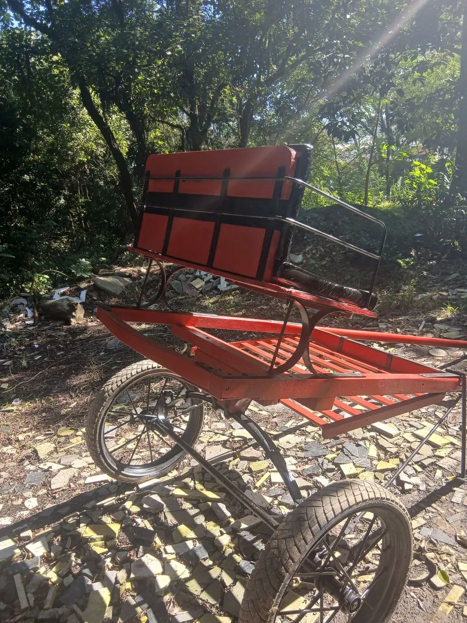 Charrete Vermelha - Foto 4